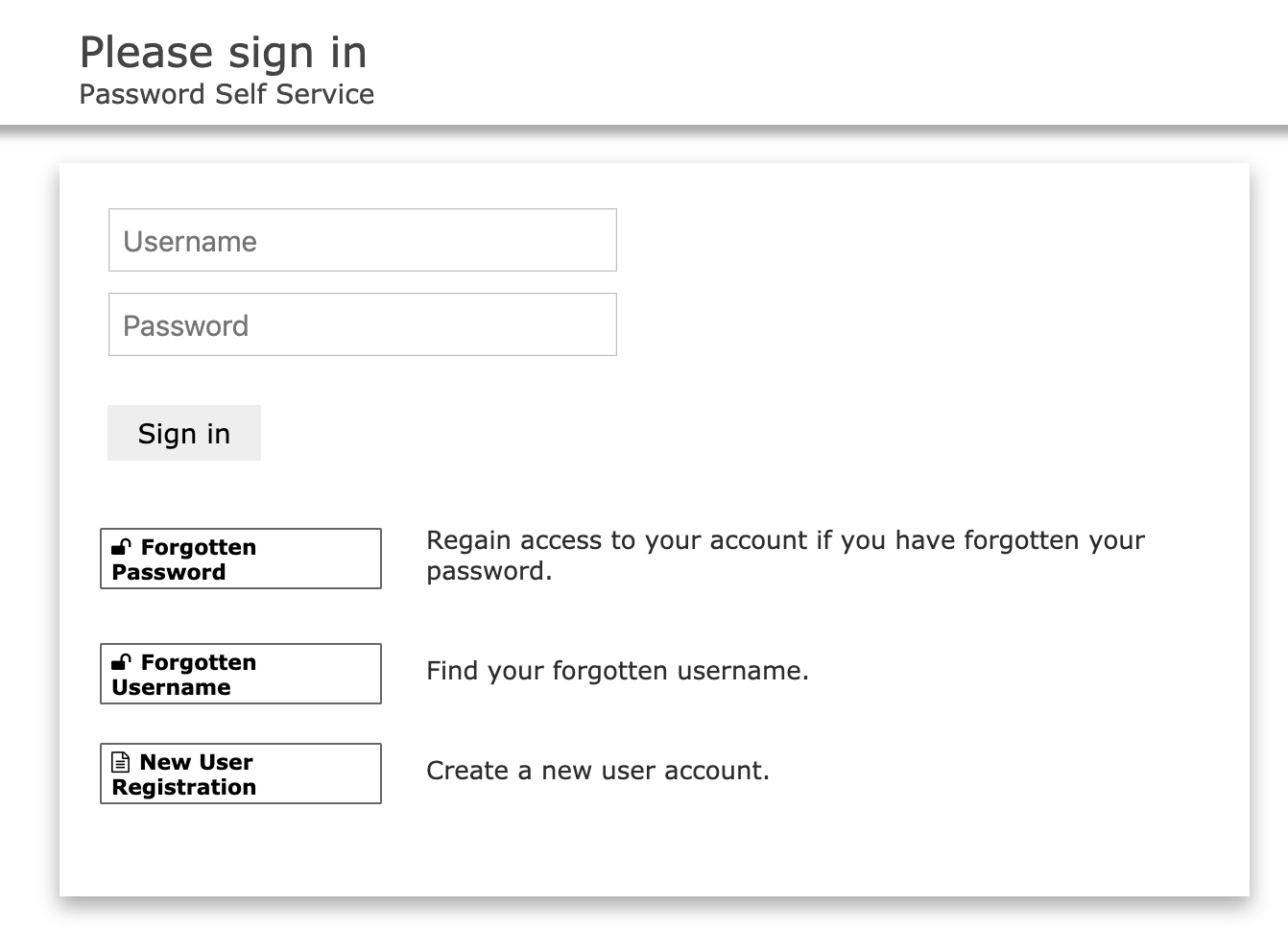 Screen Shot 2019-08-27 at 1.27.06 PM.png